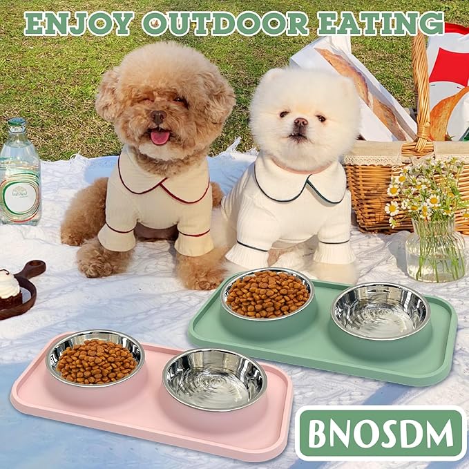 BNOSDM 2 Pcs Double Dog Food Bowls, Stainless Steel Small Dog Food and Water Bowls with Non-Spill Plastic Mat, Pet Cat Feeder Dish Set for Puppy Cats Kitten, Pink