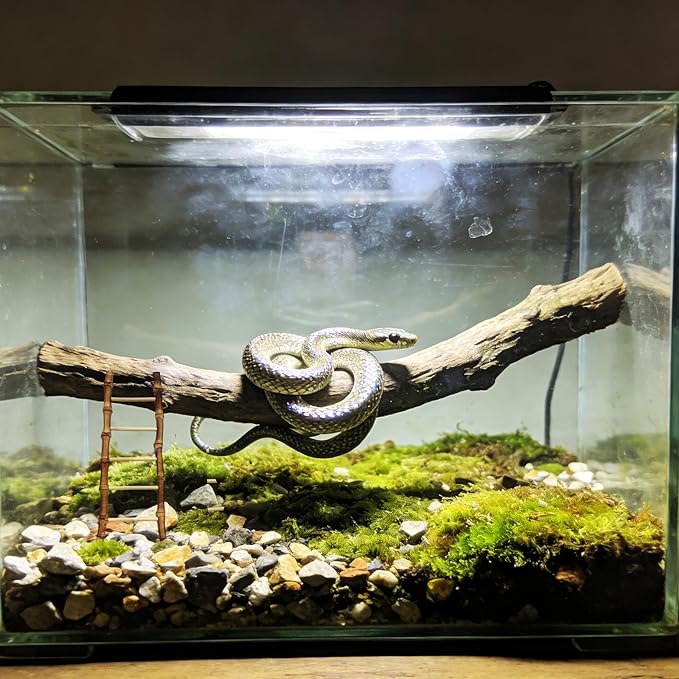 2 Pack Snake Climbing Ladder Ball Python Terrarium Exercise Enrichment for Ball Pythons Corn Snakes Lizards