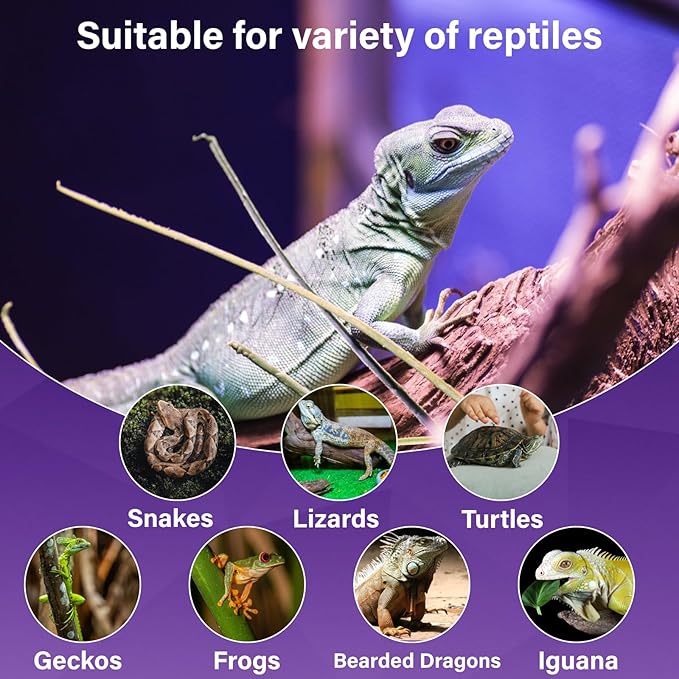 Lustaled Reptile Heat Lamp Bulbs-100W Reptile Night Heat Bulb E26 Terrarium Heat Lamp Simulate Natural Moon Purple Light for Snake Bearded Dragon Leopard Gecko Lizard Chameleon Tortoise -2Pack