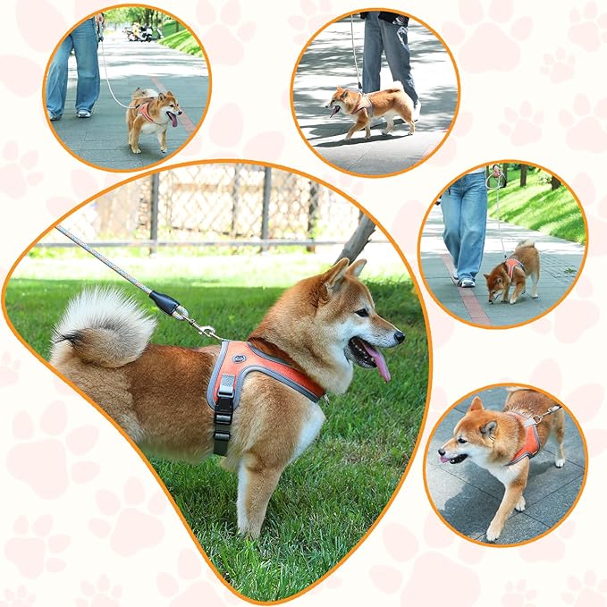 Dog Harness and Leash Set, No Pull Saddle Style Pet Harness, Breathable Mesh Adjustable Reflective Dog Vest for Dogs and Cat Medium Small Harness 2 D-Rings (Orange, XS)