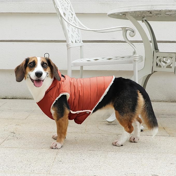 Vecomfy Fleece Lining Dog Hoodie with Harness Built in,Extra Warm Small Dog Jacket in Winter Puppy Coats with Drawstring Hooded,Orange S