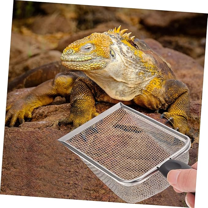 TOYANDONA 2pcs Portable Stainless Steel Reptile Shovels for Easy Substrate Cleanup Durable Household Scoopers for Tortoise Lizard and Scorpion Care