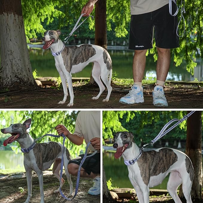 Dog Leash and Collar, Dog Seat Belt for Car, Reflective Nylon, Metal Buckle, IP68, Padded Handle Leash, Durable and Comfortable, for Small Medium Large Dogs (Lavender Purple, M)
