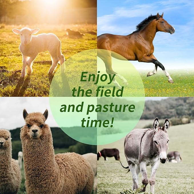 Horse Play Balls 30 Inch Mega Equine Ball for Play Training Horse Soccer Balls Anti-Burst Herding Ball for Horses Goat Donkey Blue