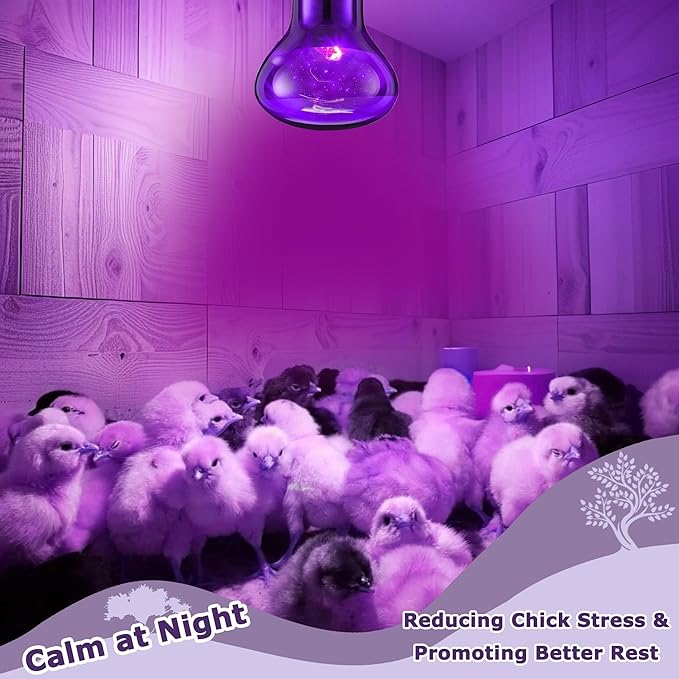 75W Reptile Night Light Bulb – Purple Basking Spot Lamp with Simulated Moonlight for Lizards, Chameleons, Snakes, Turtles, Amphibians – UVA Heat Light – 2 Pack | 3.2"