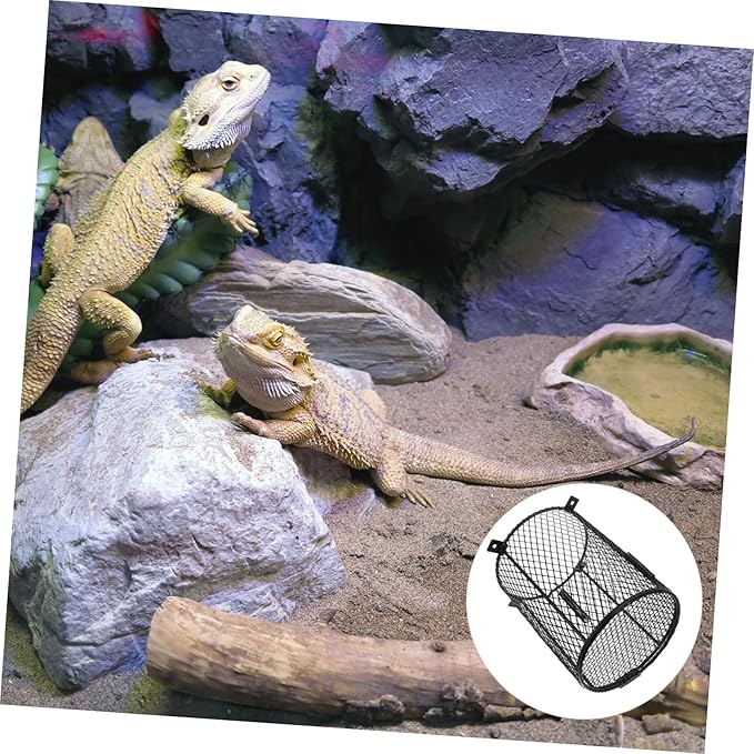 Reptile Heating Lampshade Cover Removable Mesh for Pet Reptiles Ceramic Bulb Protection Cage Guard