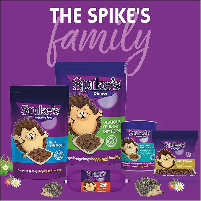 Spikes Delicious Dry 2.5 Kg