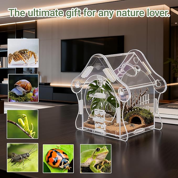 Mushroom Jumping Spider Enclosure Kit, 3mm Acrylic Habitat Tank with Magnetic Feeding Door & Lock, No-Tool Assembly for Jumping Spiders, Mantis, Small Tarantulas