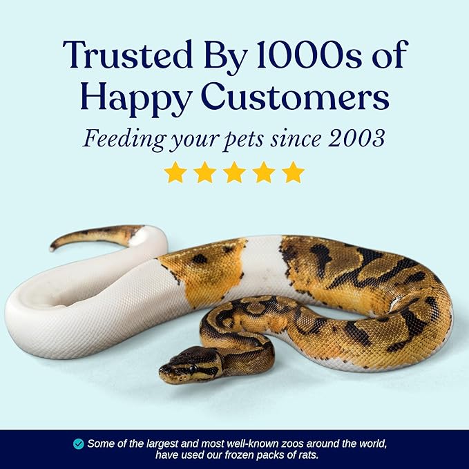MiceDirect 125 Frozen Rat Fuzzies Feeders Snake Food for Adult Corn Snakes Ball Pythons (2-2.5 in)(1125 Grams Min)