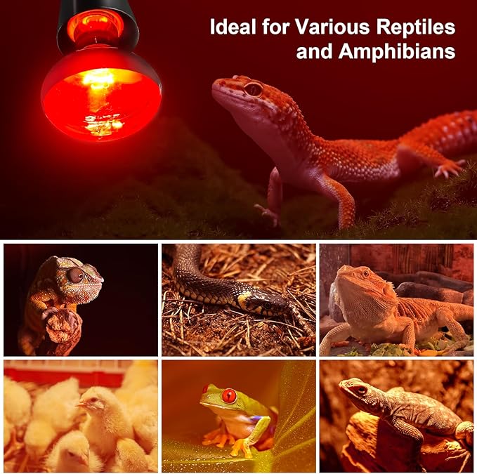 MIXJOY 100W Infrared Heat Lamp Bulbs, 2 Pack Reptile Infrared Heat Emitter Red Heat Lamp Bulbs Infrared Basking Light Bulbs for Reptiles, Bearded Dragon, Lizard, Tortoise, Chickens, Pets