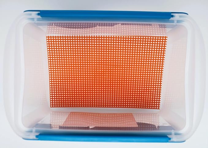 Educational Live Silkworm Kit Teachers Choice v2.0