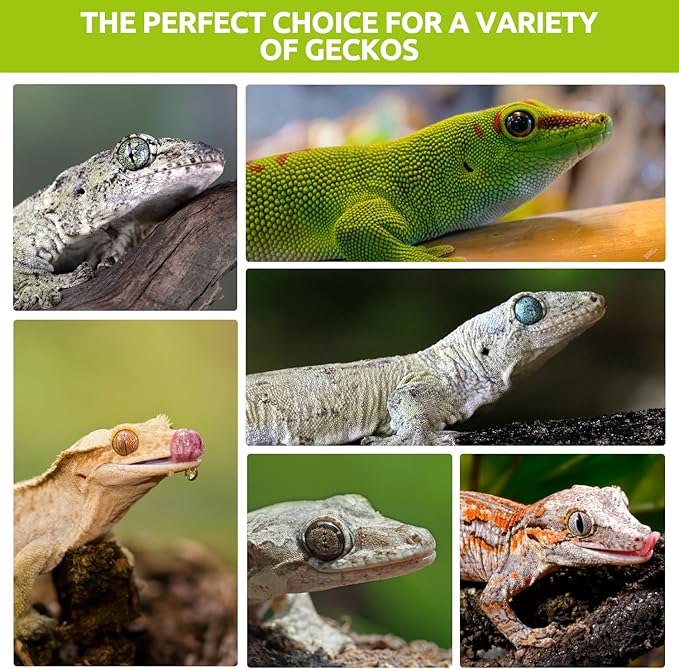 Gecko Food, Fruit Mix Insects Gecko Diet with Banana 2 oz