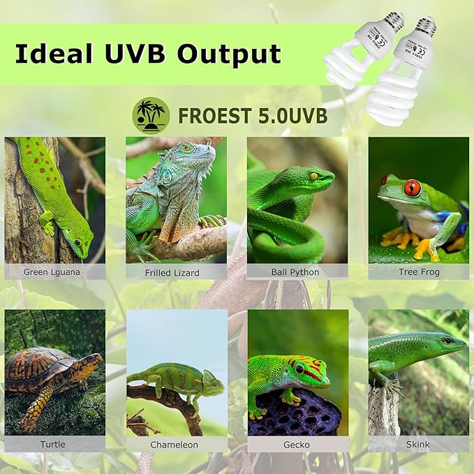 UVB 5.0 Reptile Light 13W, Compact Fluorescent Lamp, Coil UVB Bulb for Tropical Reptiles, Lizards, Geckos, Tortoises & Amphibians
