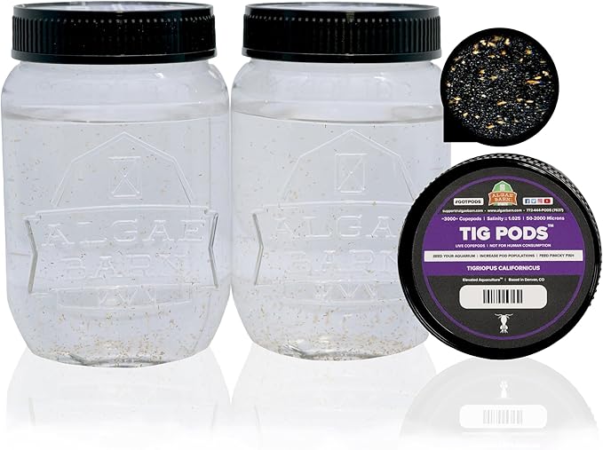 AlgaeBarn Live Copepods :: Tigriopus californicus Copepods :: Clean Your Tank :: Mandarin & Finicky Fish Food (6,000+ Pods)