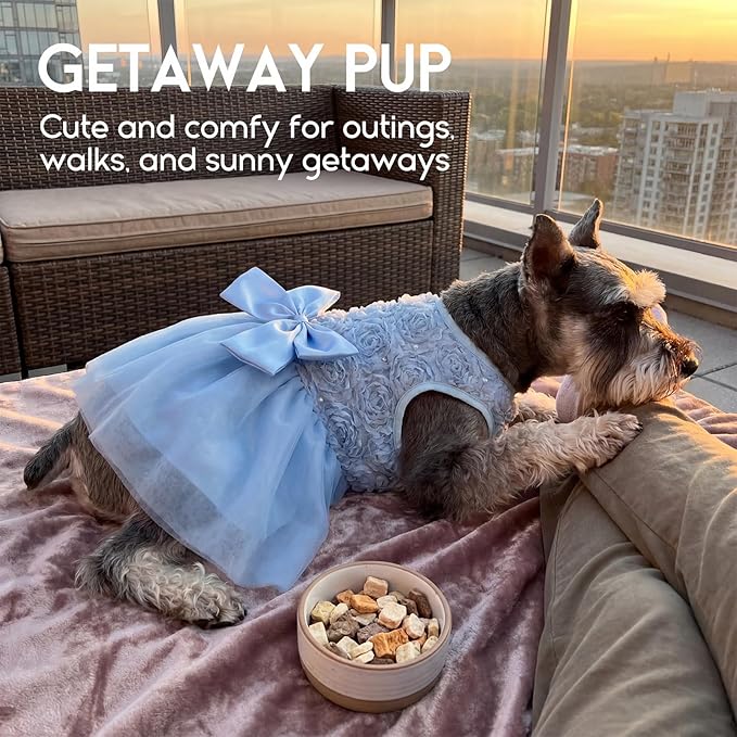ASENKU Dog Dress Pet Wedding Dress Princess Lace Puppy Birthday Party Outfit Formal Apparel Girl for Small Medium Dogs Cats (Medium, Blue)