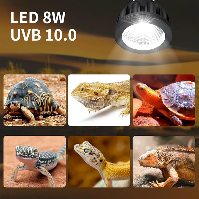 UVB Bulbs 8W 10.0,Reptile UVB Light LED Bulbs for Bearded Dragon,Turtle,Tortoise,Lizard,Gecko,Chameleon,Snake,Frog Tank