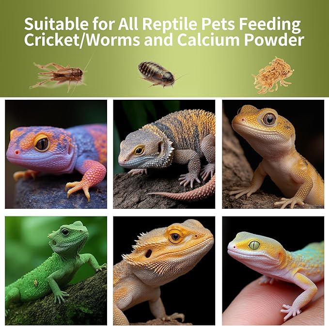 Cricket Calcium Powder Mixer for Reptiles,Easy-to-Use Cricket Keeper Calcium Shaker for Even Coating, Reptile Nutrition Dispenser, Bearded Dragon Gecko Lizard Turtle Tank Accessories
