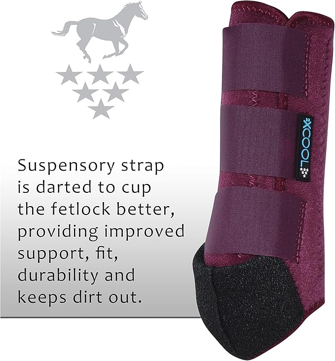 Professional's Choice 2XCOOL Sports Medicine Horse Boots | Protective & Breathable Design for Ultimate Comfort & Durability in Active Horses | Value 4 Pack