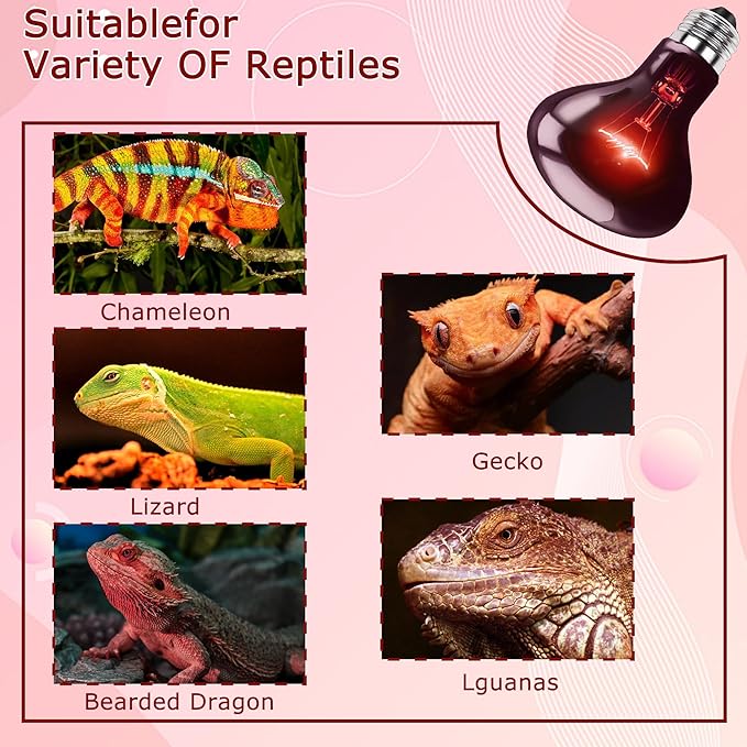 100W UVA Infrared Red Heat Lamp Bulb – Strong Bones & Energy, High-Performance Basking Spot Light for Lizards, Leopard Geckos, Turtles & Chicks, Terrarium & Brooder Heater