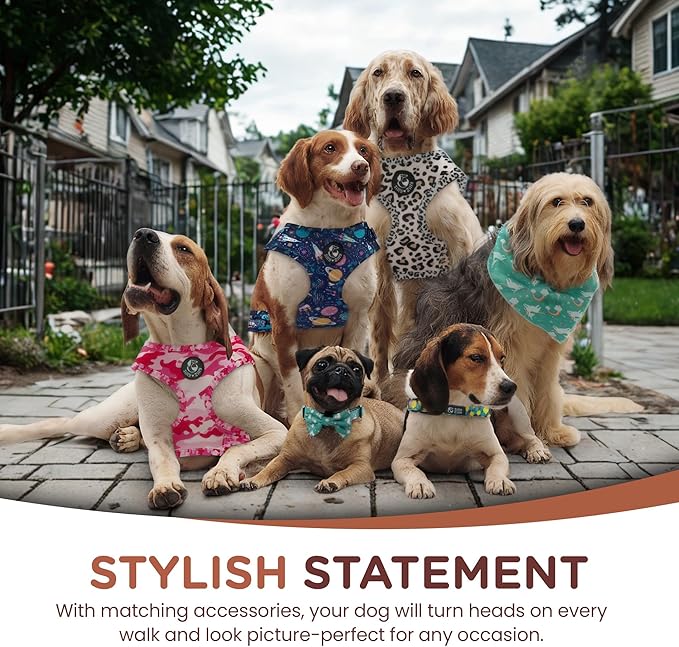 No Pull Harness and Leash Set - 6-in-1 Adjustable Vest Harness and Collars for Medium and Large Dogs. (Leopard, Small)