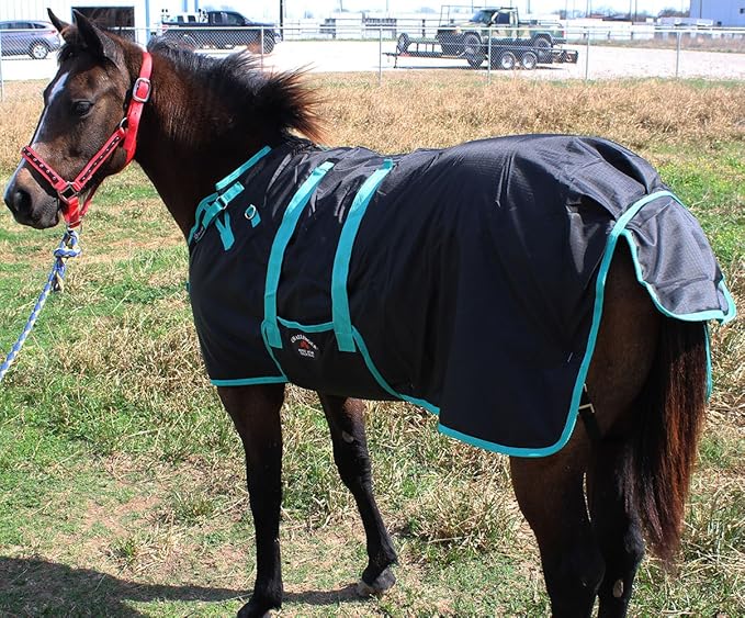60" 1200D Miniature Weanling Donkey Pony Horse Foal Winter Blanket Teal 51945