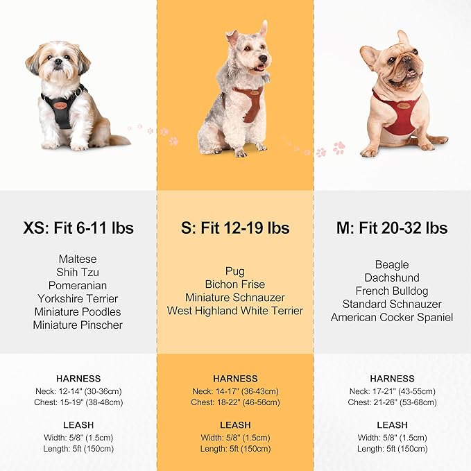 Beirui Stylish PU Leather Dog Harness and Leash Set for Small Dogs, Adjustable Step in Dog Vest Harness with Breathable Mesh Lining and Durable Metal Buckle for Walking Traveling(Brown,S)