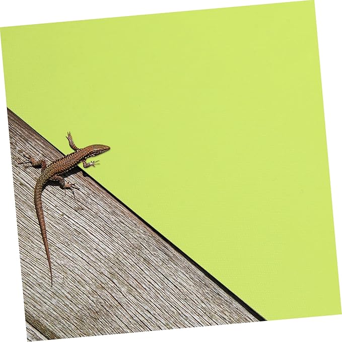 Toyvian 2pcs Reptile Carpet Mat Washable Terrarium Bedding for Snakes Turtles Lizards More Reptile Floor Liner for Tanks