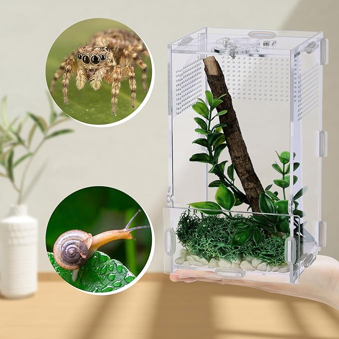 VERTUPET 4"x4"x8" Acrylic Jumping Spider Enclosure, Clear Arboreal Reptile Habitat Tank with Secure Locking Latch for Frogs, Crickets, and Snails, New
