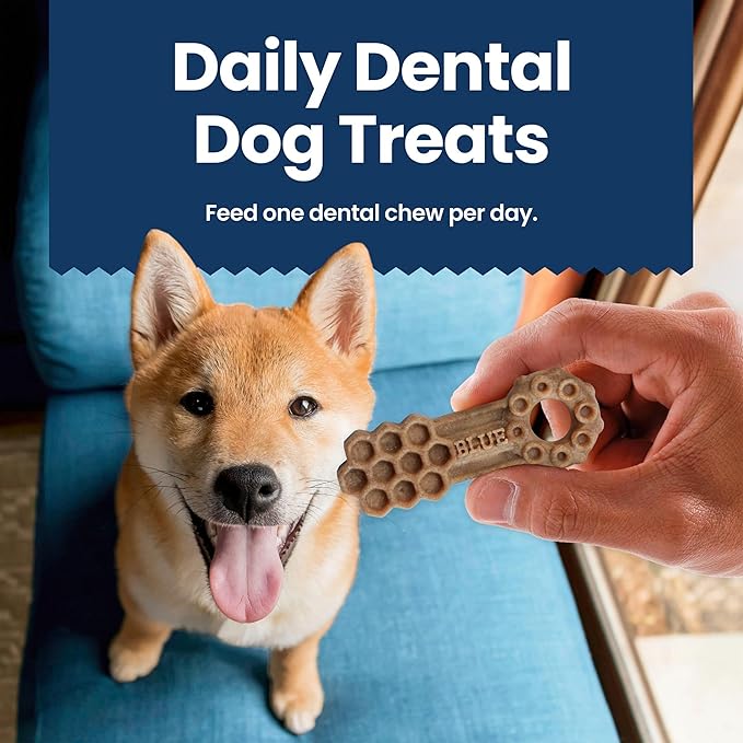 Blue Buffalo Dental Chews Small Natural Dog Treats, Chicken & Spearmint 11.3-oz Bag (28 Count) (Pack of 4)