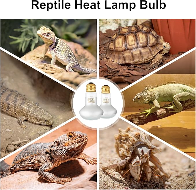 KINUR Reptile Heat Lamp Bulb-75W 2 Pack,UVA Basking Light,Natural Daylight Heating Light for Bearded Dragon,Turtle,Tortoise,Lizard,Snake,Gecko,Chicken with Digital Temperature Strips E26