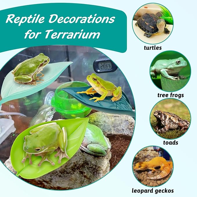 6 Pack Plastic Frog Habitat Platform with Suction Cups Reptile Decorations for Terrarium Dwarf Frogs Tank Accessories Decor Turtle Basking Platforms for Amphibian (Green)