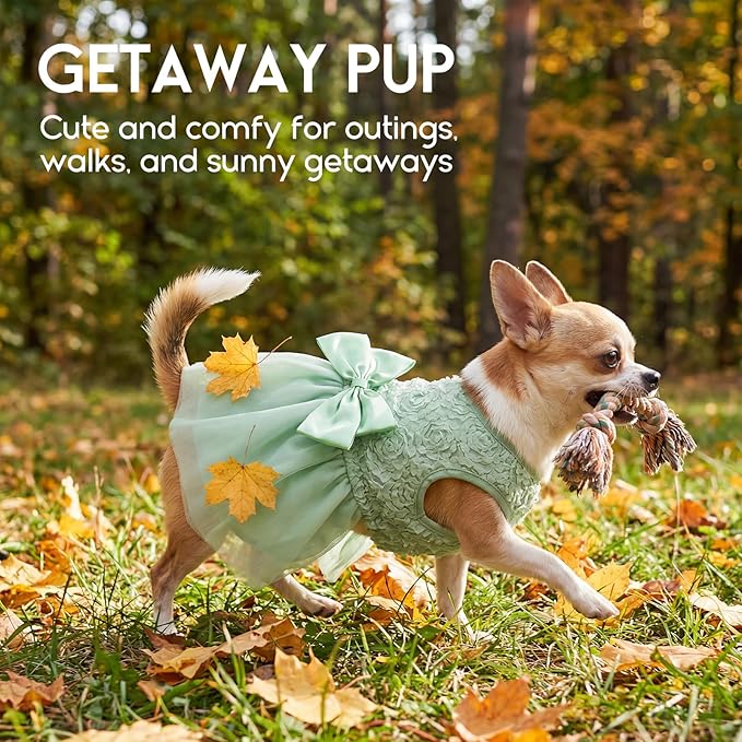 ASENKU Small Dog Dress Pet Wedding Dress Princess Lace Puppy Birthday Party Outfit Formal Apparel Girl for Only Small Medium Dogs Cats (Large, Green)