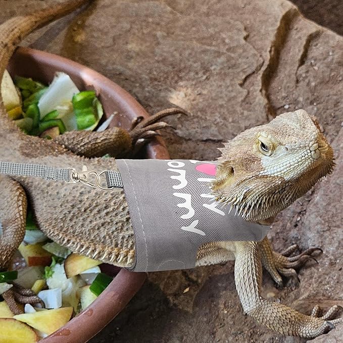 CUSOZWO Bearded Dragon Harness and Leash Set - Cute Lizard Reptile Small Animal Adjustable Harness Clothes with Short Leash for Walking Outdoor