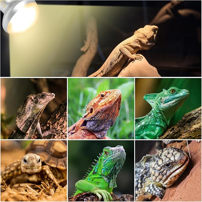 Oiibo Reptile Heat Lamp Blub Combo Pack, Dual Reptile Lamp Fixture with Intense Basking Spot Light UVA Daylight Reptile Heat Lamp & 26W Energy Saving UVA 10.0 UVB Bulb Spiral Compact Bulb