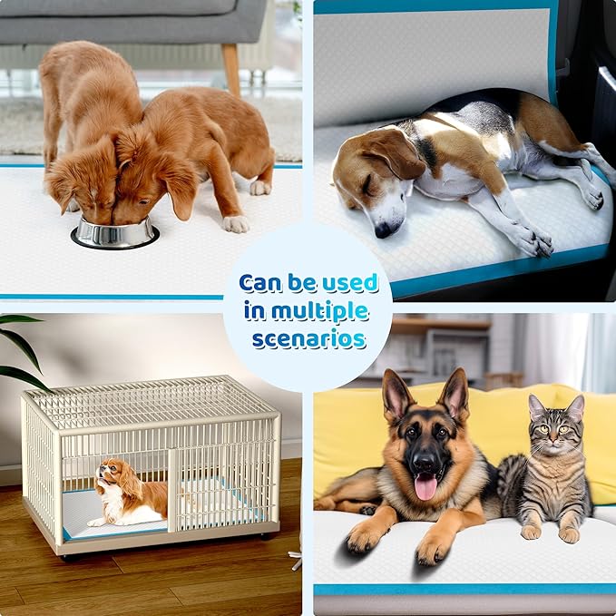 Upgrade Leak-Proof Pet Training and Puppy Pads, Jumbo Pee Pads for Dogs with Thicken Polymer Heavy Absorbency, Quick Dry Disposable Pee Pads for Cats Dogs (100, Regular 30''x36'')