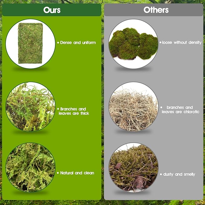 14OZ Sphagnum Moss for Reptiles, Terrarium Natural Green Dried Peat Habitat Bedding Plants for Snakes Gecko Forest Frogs and Turtle Accessories Substrate (50QT)