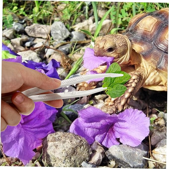 Sosoport 18cm Glow-in-The-Dark Reptile Feeding Tweezers Clips 2PCS Flexible PET Feeding Tool for Turtles Lizards Frogs and Other Reptiles