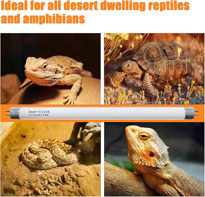 Celiwace T5 10.0 UVB Reptile Light Bulb 8W 12 Inch, Desert Reptile UVB Bulb 8 Watt for Lizards, Bearded Dragons, Chameleons, Turtles, Tortoises 3 Pack