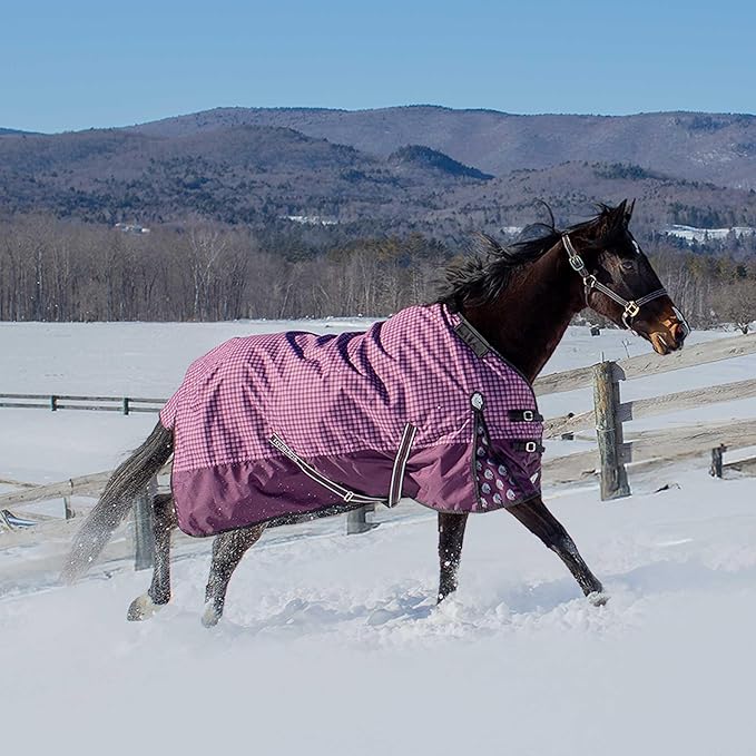 Equinavia Norse Lightweight 100g Fill Horse Rain Blanket | Waterproof Turnout Sheet - Black - 66 in - Plum Wine/Orchid Haze - 72 in