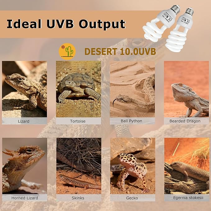UVB 10.0 Reptile Light 13W, Compact Fluorescent Lamp,Coil UVB Desert Bulb–Lighting for Bearded Dragons, Lizards, Tortoises, Snakes, Geckos, Amphibians & Small Reptile Tanks