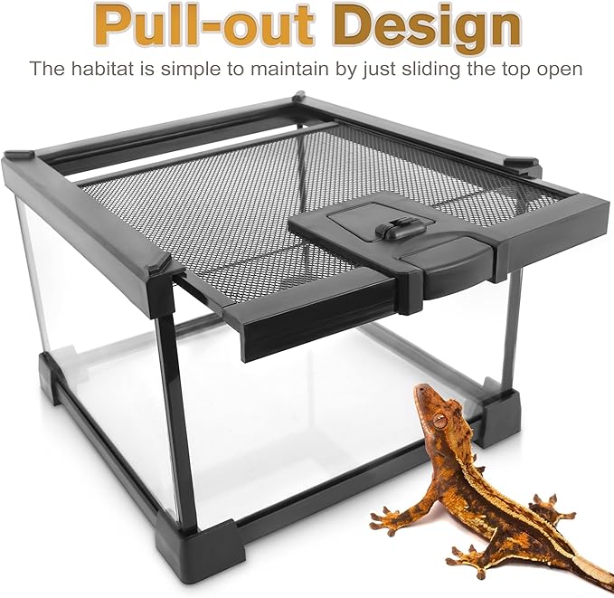 20"x12"x14" Mini Reptile Glass Terrarium, Top-Opening Full-View Vivarium with Escape-Proof Lock & Feeding Door, for Small Reptiles & Inverts, Such as Crested Geckos & Arboreal Tarantulas.