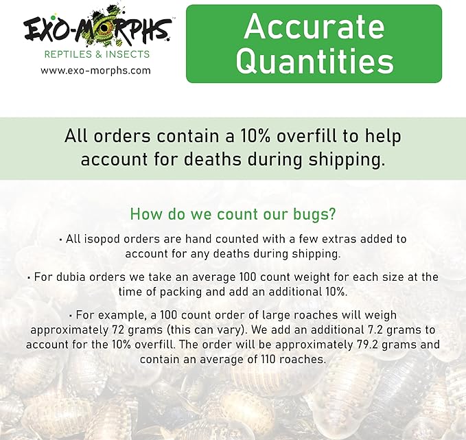 200 ct Small Dubia Roaches | 1/8-1/4 Inch | Live Arrival Guaranteed | Shipped in Mesh Bag