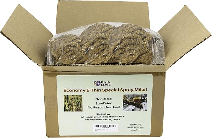 2lbs Economy & Special Spray Millet for Birds – GMO-Free, No Stems (Only Edible Tops) – 100% Natural Sun-Dried Foraging Treat for Cockatiels, Lovebirds, Parakeets, Finches & Canaries