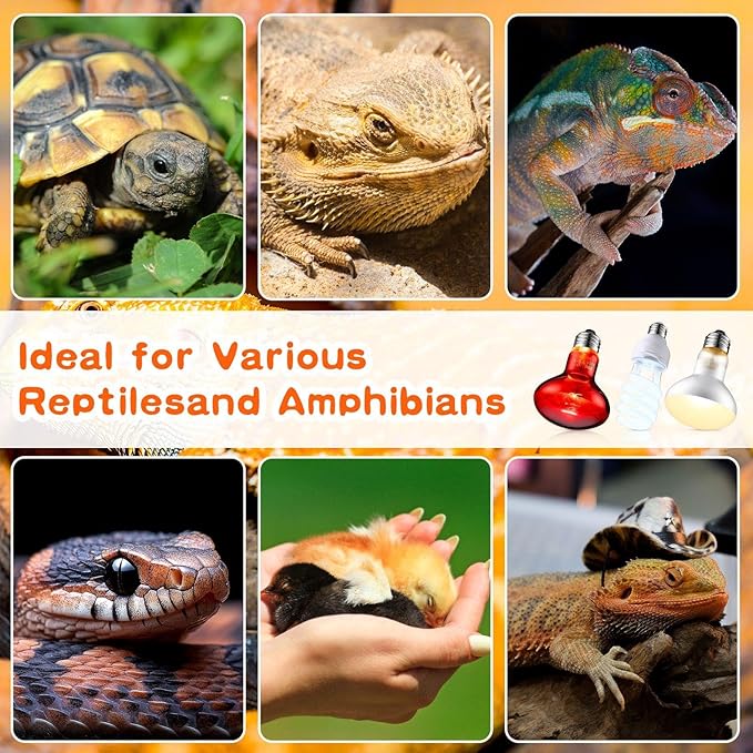 VIHOSE 3 Pcs Reptile Heat Lamp Combo, Include 100w UVA Day Heating Lamp and Infrared Heat Bulb, 26w Energy Saving UVB Bulb, Basking Light for Reptiles Bearded Dragon Turtles Snake Lizard