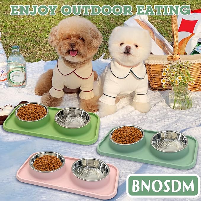BNOSDM Double Dog Food Bowls Stainless Steel Dog Food and Water Bowls with Non-Spill Plastic Mat Pet Cat Feeder Bowl Set for Puppy Cats Kitten Small Medium Dogs Pink