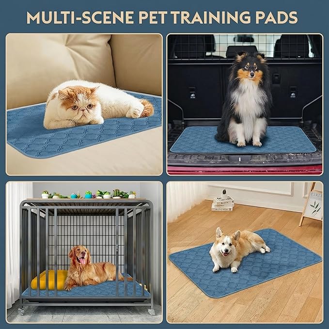 FunFurry Washable Pee Pads for Dogs - 1 Pack Reusable Pee Pads,Waterproof Puppy Pads,Pet Training Pads,Super Absorbent with Dog Paw Shape Non-Slip Backing (Blue, 72" X 72" - 1 Pack)