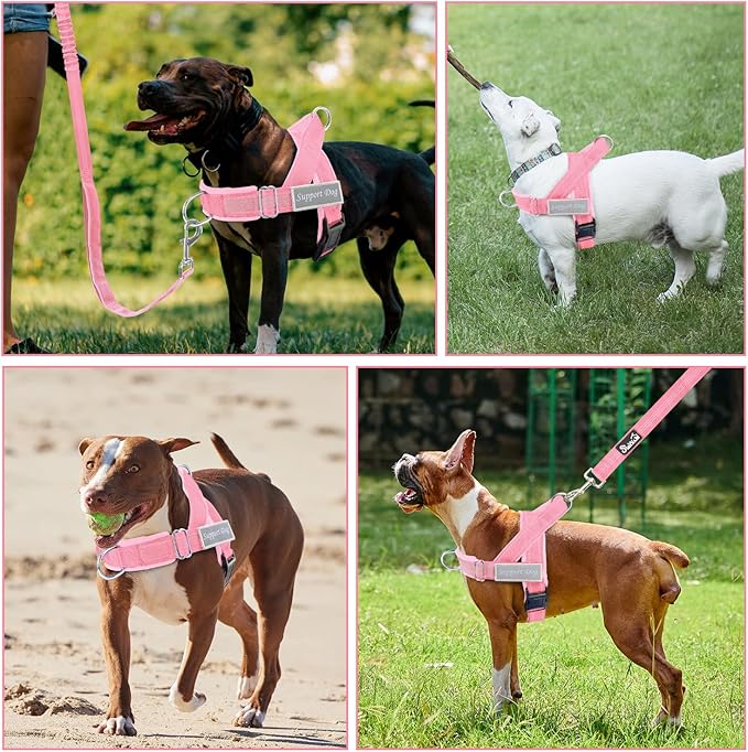 SlowTon No Pull Dog Harness - Heavy Duty Dog Harness and Leash Set for Medium Large Dogs, Reflective Tactical Harness with Soft Padded and Front Clip for Easy Walk and Training (PI, XL)