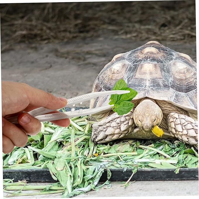 BESPORTBLE 2pcs Lizard Feeding Tweezers Reptile Feeding Tool for Lizards Turtles Frogs Lightweight and Easy to Grip Night Glow Tweezers for Pet Care