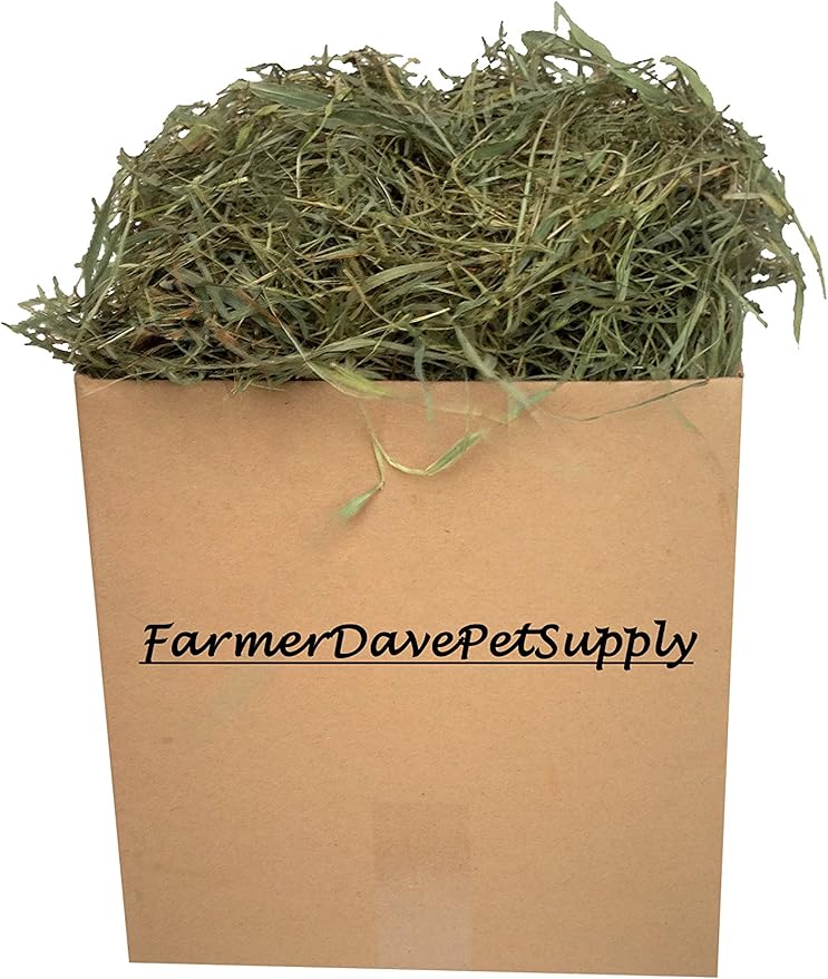 3 Lb Second Cut Timothy Hay, Bunny, Guinea Pig and Chinchilla Hay