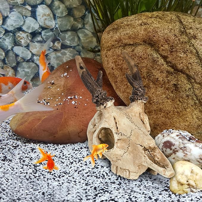 Mini Reptile Hide Cave, Small Terrarium Shelter for Spider, Tarantula, Gecko Tank Accessories, Natural Climbing Decor for Terrarium Habitat, 4 Inch(Elk Skull)